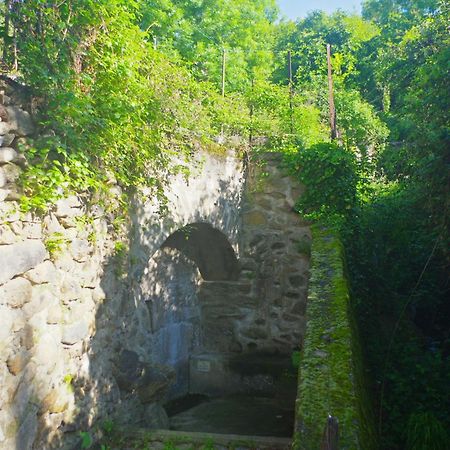 Puig Roja Del Roser Пра-де-Молло-ла-Прест Экстерьер фото